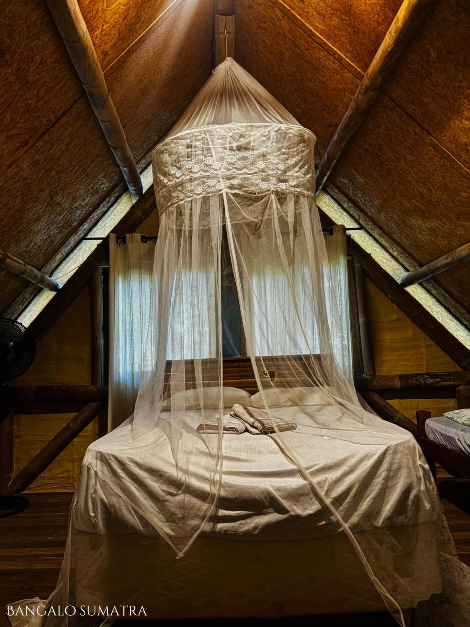 Sitio Simple Life Bed & Breakfast Ubatuba Eksteriør bilde