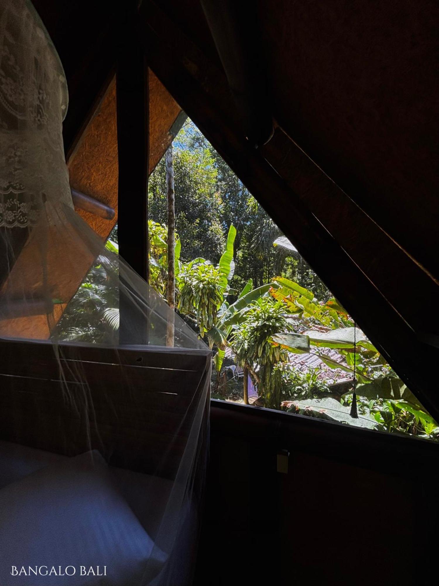 Sitio Simple Life Bed & Breakfast Ubatuba Eksteriør bilde